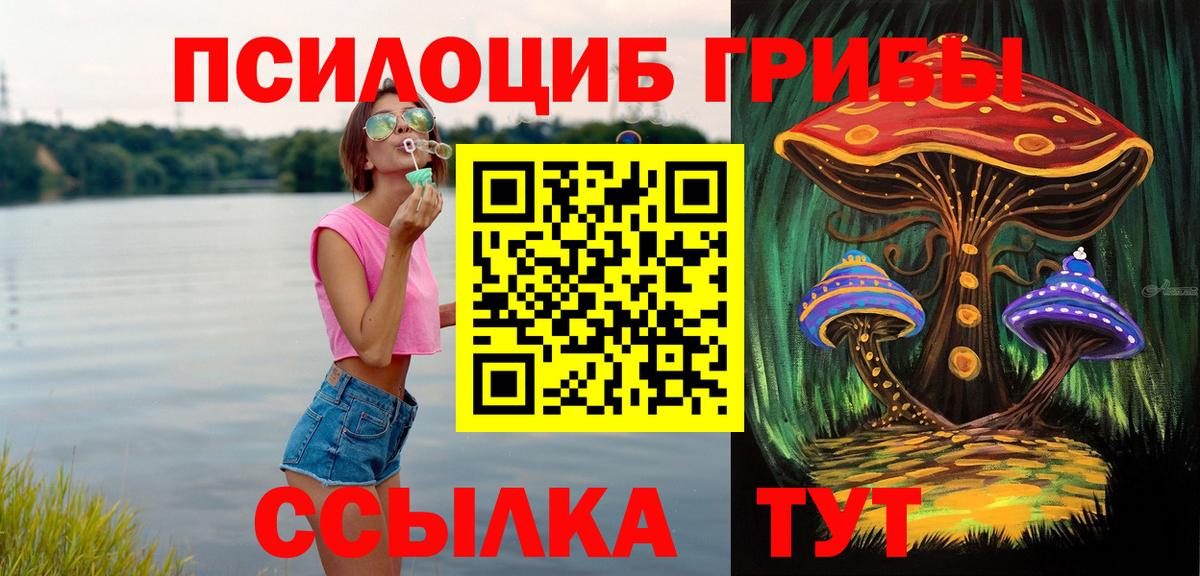 Мирный  Псилоцибиновые грибы мицелий  Вход с VPN 